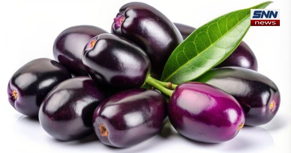 Jamun – A Summer Delight with Countless Benefits